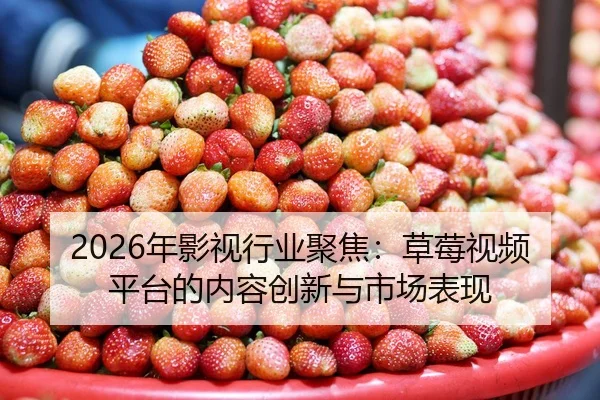 2026年影视行业聚焦：草莓视频平台的内容创新与市场表现